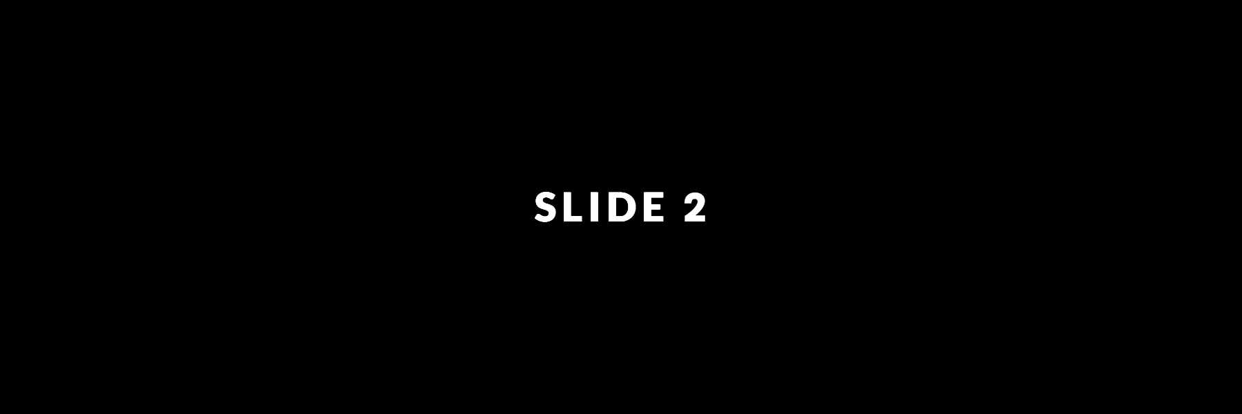 Slide 02